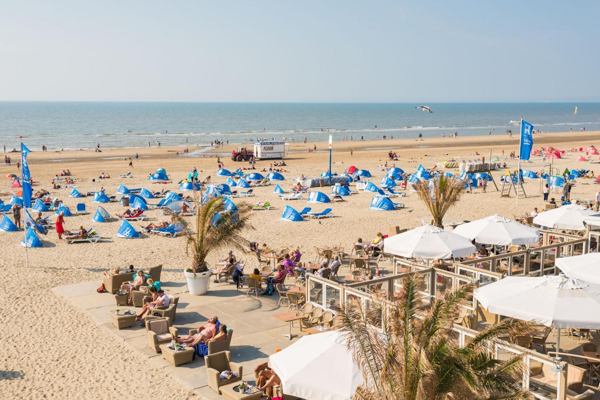 The Garden Suite Zandvoort Bagian luar foto